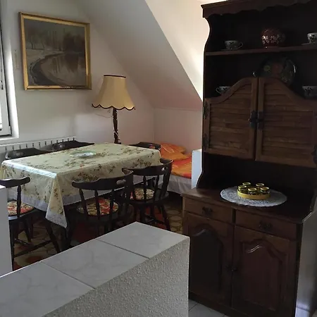 Apartment Toni Bacsi Ueduelo Mezokovesd